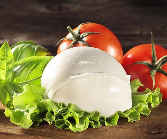 mozzarella di bufala campana dop bofrost