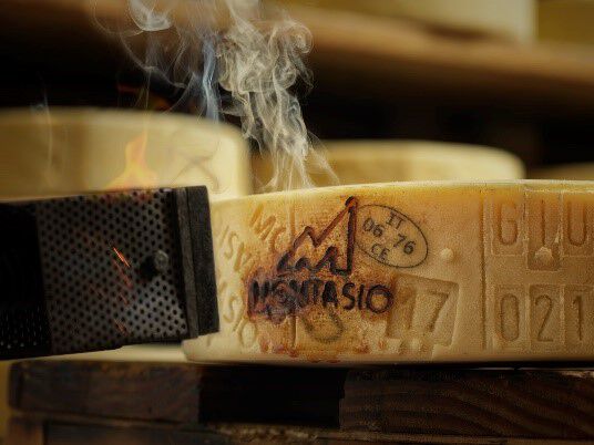 forma formaggio montasio