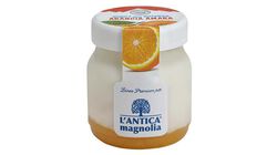 Yogurt e dessert - Yogurt della Valtellina Arancia