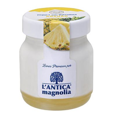 Yogurt e dessert - Yogurt della Valtellina Ananas