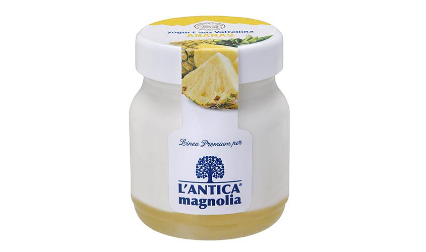 Yogurt e dessert - Yogurt della Valtellina Ananas