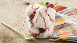 Vaschette - I Cremosi Yogurt Frutti di Bosco