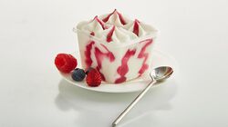 Promozione Mini Formati Gelato - "I Cremosini" Yogurt Frutti di Bosco