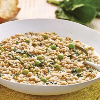 Minestroni zuppe e vellutate  - LA FARROTTA