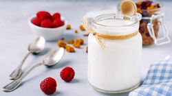Yogurt e dessert - Kefir della Valtellina Compatto