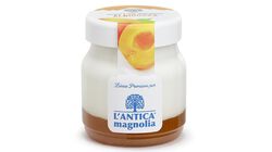 Yogurt e dessert - Yogurt della Valtellina Albicocca