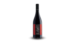 Vini Rossi - Merlot Friuli DOC