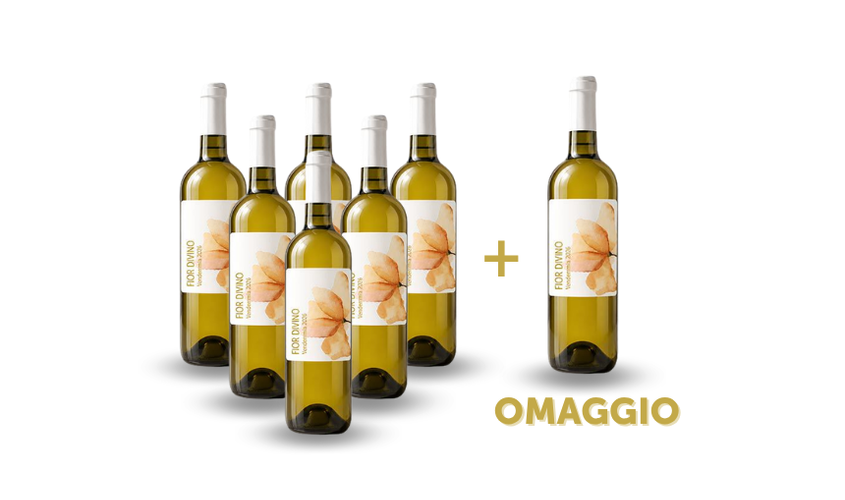 Vini in offerta - 6 Bottiglie di Fior di Vino + 1 in OMAGGIO