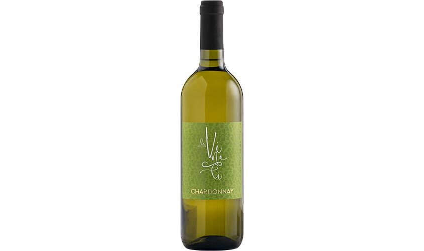 Vini Bianchi - Chardonnay Trevenezie IGT