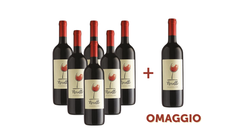 Vini in offerta - Offerta 6 bottiglie di Vino Novello + 1 in omaggio