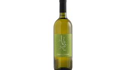 Vini Bianchi - Chardonnay Trevenezie IGT