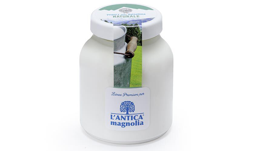 Yogurt e dessert - Yogurt Naturale 500g