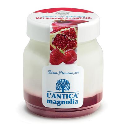 Yogurt e dessert - Yogurt Melagrana e Lampone