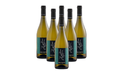 Vini in offerta - Offerta 6 bottiglie Sauvignon Friuli DOC