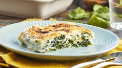 Primi piatti da forno - Sc. 50% Lasagna Crescenza e Spinaci
