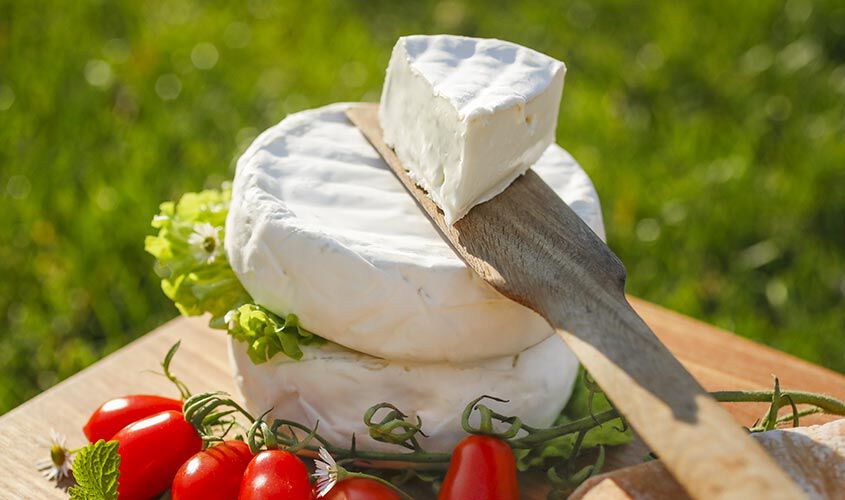 Formaggi freschi - Camembert di Bufala