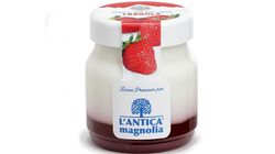 Yogurt e dessert - Yogurt della Valtellina Fragola