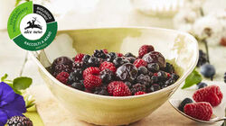 Biologico - Frutti di Bosco BIO