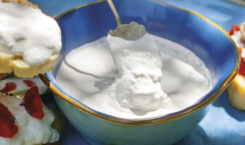 Formaggi freschi - Stracciatella di Burrata