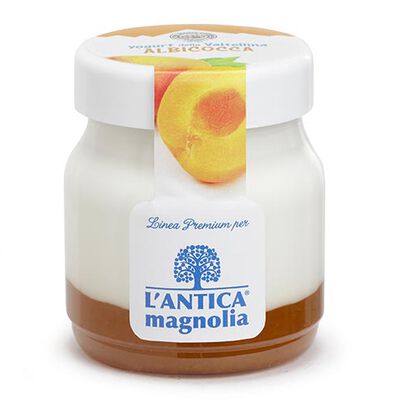 Yogurt e dessert - Yogurt della Valtellina Albicocca
