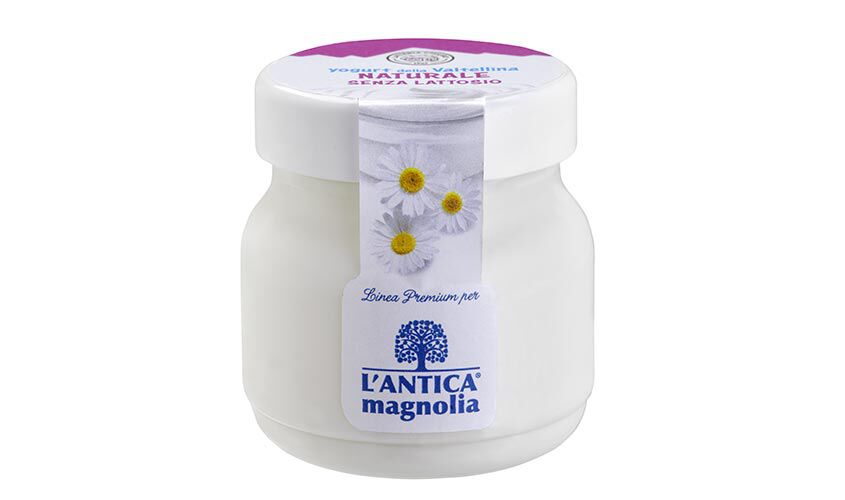 Yogurt e dessert - Yogurt Naturale Senza Lattosio