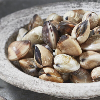 Specialità di pesce su prenotazione - VONGOLE DEL PACIFICO