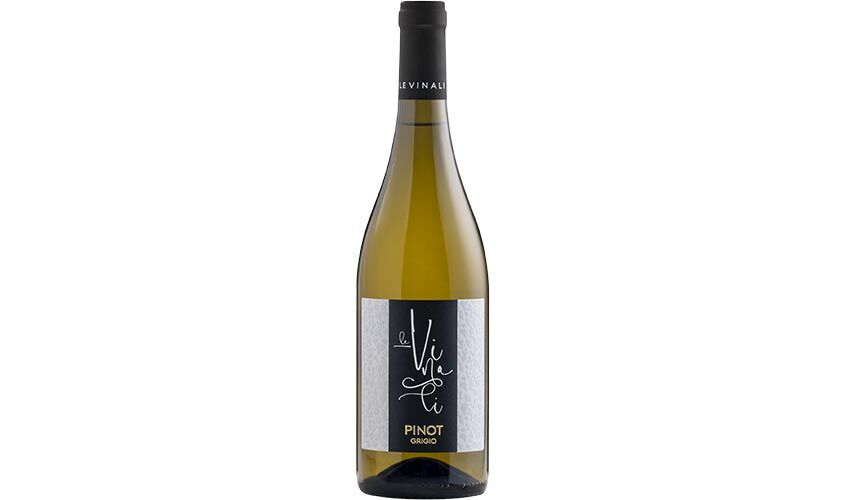 Vini Bianchi - Pinot Grigio Friuli DOC