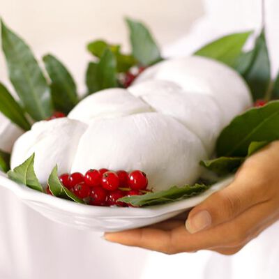 Formaggi - Treccia Mozzarella di bufala campana DOP