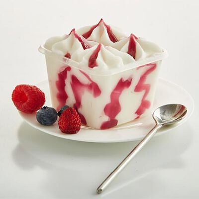 Promozione Mini Formati Gelato - "I CremosiniYogurt Frutti di Bosco
