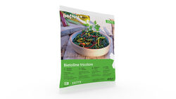 Verdure al naturale - Bietoline Tricolore