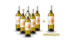 Vini in offerta - 6 Bottiglie di Fior di Vino + 1 in OMAGGIO