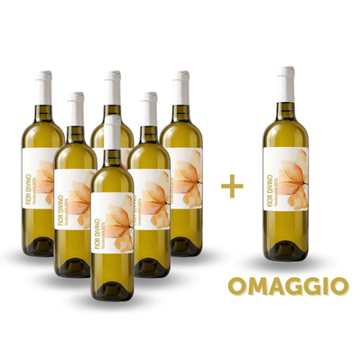 Vini in offerta - 6 Bottiglie di Fior di Vino + 1 in OMAGGIO