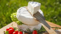 Formaggi - Camembert di Bufala