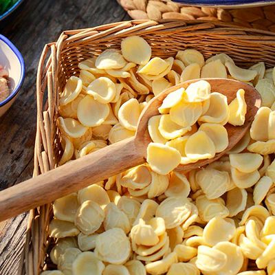 Primi e Sughi - Orecchiette Fresche