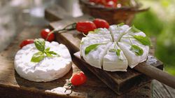 Formaggi - Primo Sale