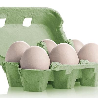 Uova  - 6 Uova fresche