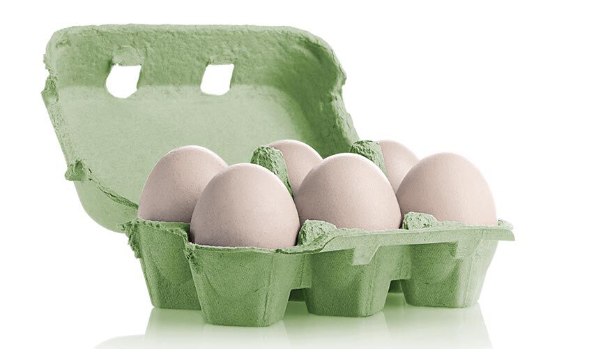 Uova  - 6 Uova fresche