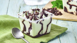 Promozione Mini Formati Gelato - I Cremosini Chocomenta