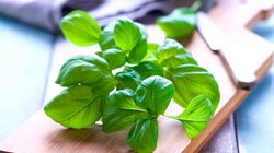 Erbe e aromi - Il "Dosafacile" Basilico