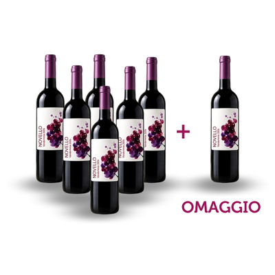 Vini in offerta - Offerta 6 bottiglie di Vino Novello + 1 in omaggio