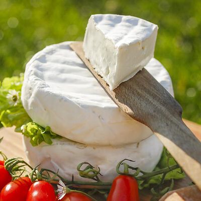 Formaggi freschi - Camembert di Bufala