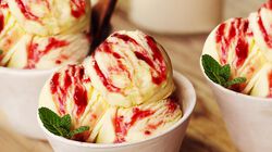 Gelati senza glutine - Vaniglia Frutti Rossi AmorAvena