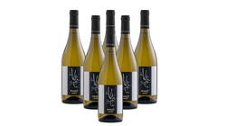 Vini in offerta - Offerta 6 Pinot Grigio Friuli DOC