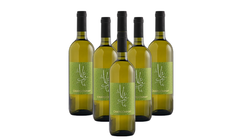 Vini in offerta - Offerta 6 bottiglie Chardonnay Trevenezie IGT