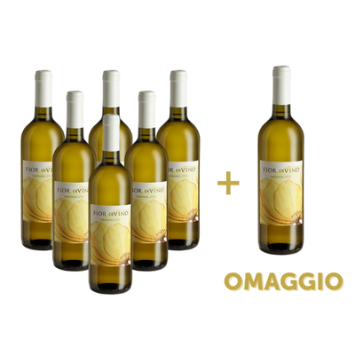 Vini in offerta - 6 Bottiglie di Fior di Vino + 1 in OMAGGIO