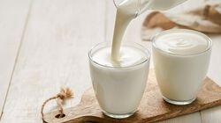 Yogurt e dessert - Kefir della Valtellina Bianco