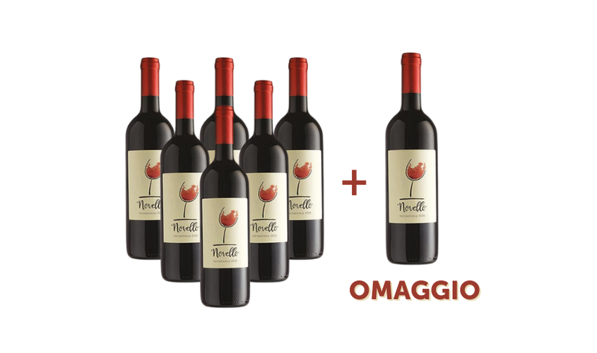 Vini in offerta - Offerta 6 bottiglie di Vino Novello + 1 in omaggio