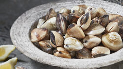 Specialità di pesce su prenotazione - VONGOLE DEL PACIFICO