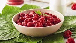 Biologico - Lamponi BIO