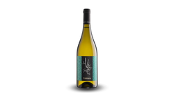 Vini Bianchi - Friulano Friuli DOC